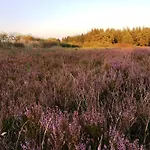 Fachwerk-treppenspeicher, Ruhe Auf Dem Land, Haustiere Willkommen, Leihfahrraeder, 24-7 Check In Prázdninový dům