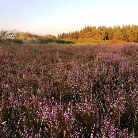 Fachwerk-treppenspeicher, Ruhe Auf Dem Land, Haustiere Willkommen, Leihfahrraeder, 24-7 Check In Prázdninový dům