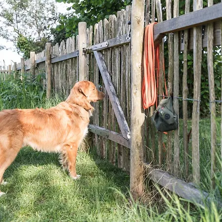 Fachwerk-treppenspeicher, Ruhe Auf Dem Land, Haustiere Willkommen, Leihfahrraeder, 24-7 Check In