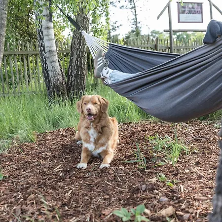 Fachwerk-treppenspeicher, Ruhe Auf Dem Land, Haustiere Willkommen, Leihfahrraeder, 24-7 Check In Prázdninový dům