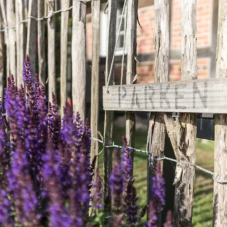Fachwerk-treppenspeicher, Ruhe Auf Dem Land, Haustiere Willkommen, Leihfahrraeder, 24-7 Check In *