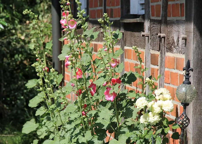 Fachwerk-treppenspeicher, Ruhe Auf Dem Land, Haustiere Willkommen, Leihfahrraeder, 24-7 Check In * Kirchlinteln