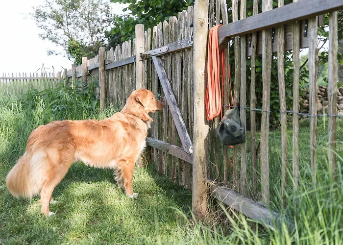 Fachwerk-treppenspeicher, Ruhe Auf Dem Land, Haustiere Willkommen, Leihfahrraeder, 24-7 Check In