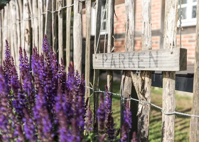 Fachwerk-treppenspeicher, Ruhe Auf Dem Land, Haustiere Willkommen, Leihfahrraeder, 24-7 Check In *